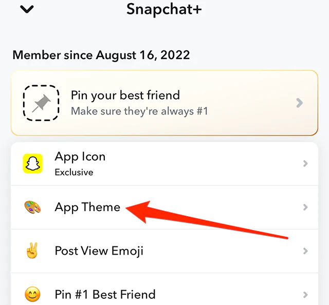 What is a Post View Emoji on Snapchat? – Snapchat Support