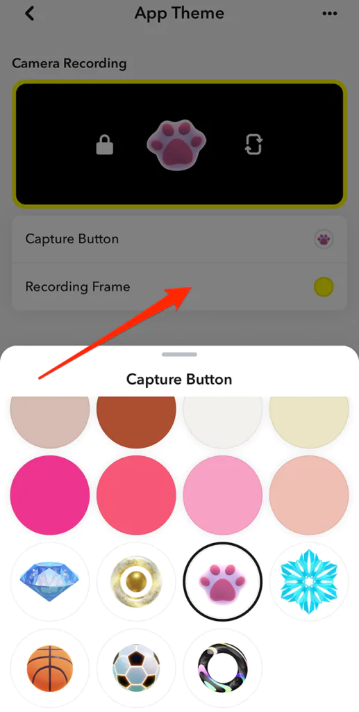 Snapchat+ Capture Button