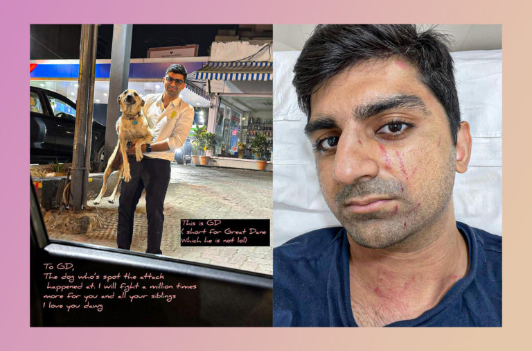 Raunaq Rajani stand-up comedian dog feeding case assault judgement
