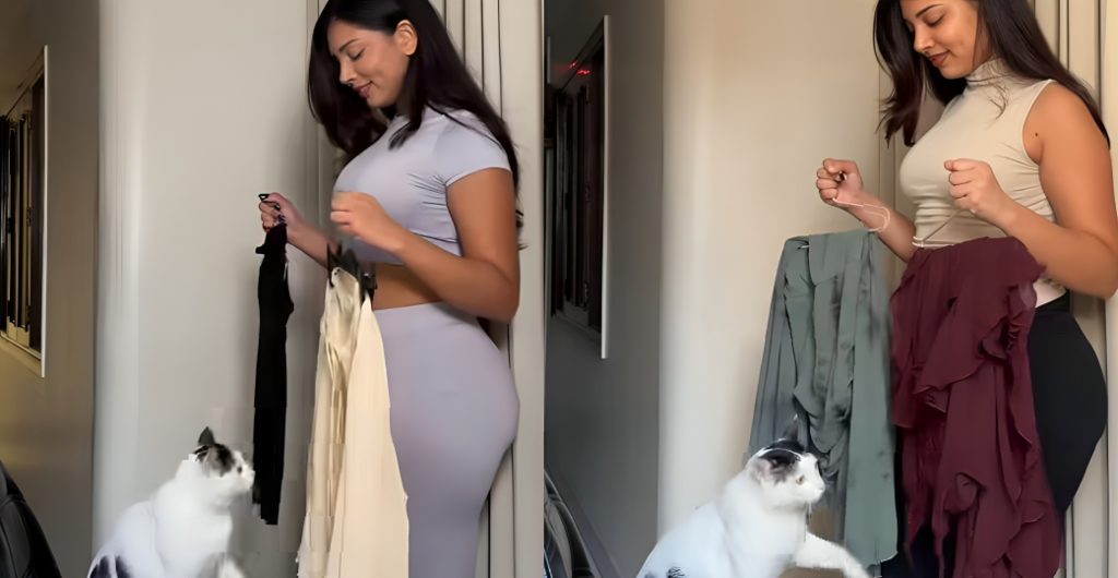 d6a6007c6fc34c35a2d921201041d7cb - Social Nation Vanshita Verma Shows Us What Happens When A Cat Starts Curating Fashion Looks Online, And We Love It!