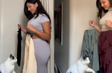 Vanshita Verma Shows Us What Happens When A Cat Starts Curating Fashion Looks Online, And We Love It!