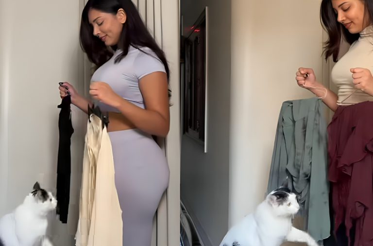 Vanshita Verma Shows Us What Happens When A Cat Starts Curating Fashion Looks Online, And We Love It!